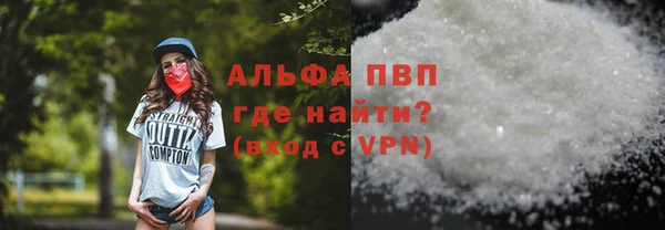 спиды Вяземский