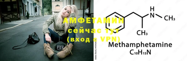 спиды Вяземский
