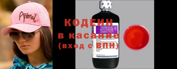 спиды Вяземский