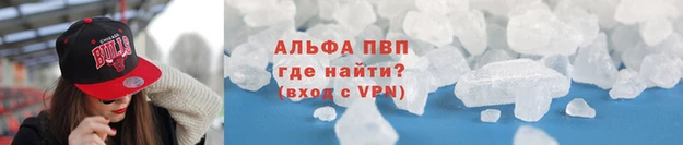 спиды Вяземский