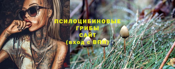 спиды Вяземский