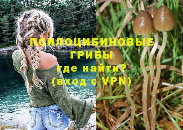спиды Вяземский