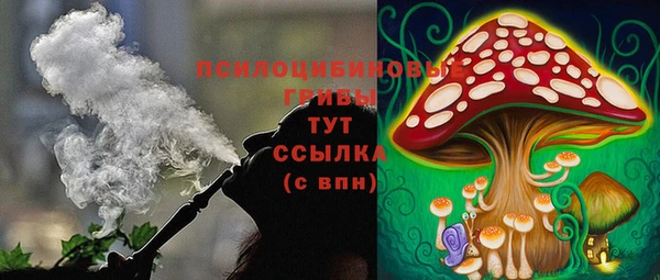 спиды Вяземский