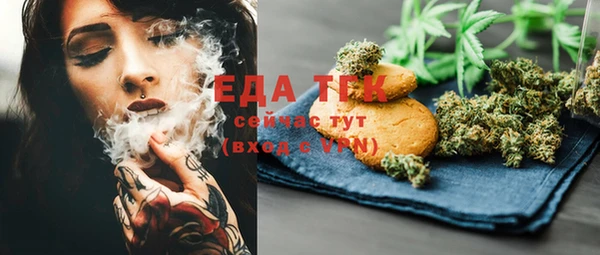 спиды Вяземский
